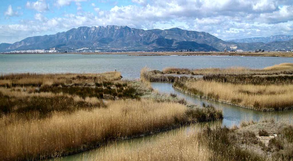 Mi Apartamento En El Delta Del Ebro Deltebre Esterno foto