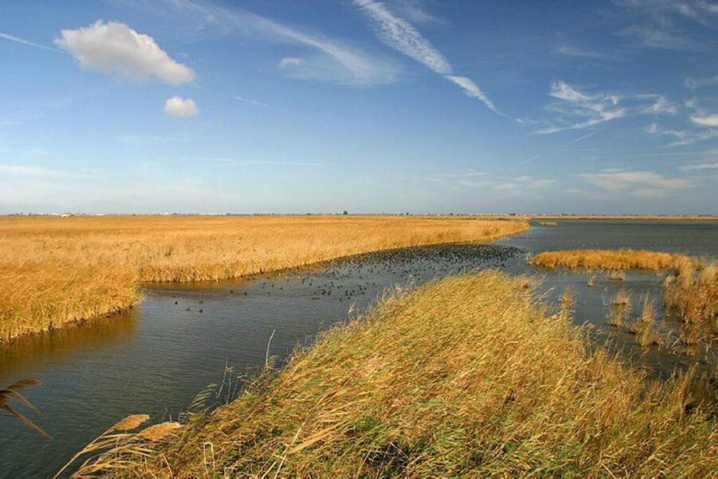 Mi Apartamento En El Delta Del Ebro Deltebre Esterno foto