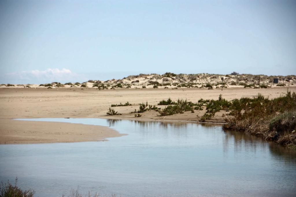 Mi Apartamento En El Delta Del Ebro Deltebre Esterno foto