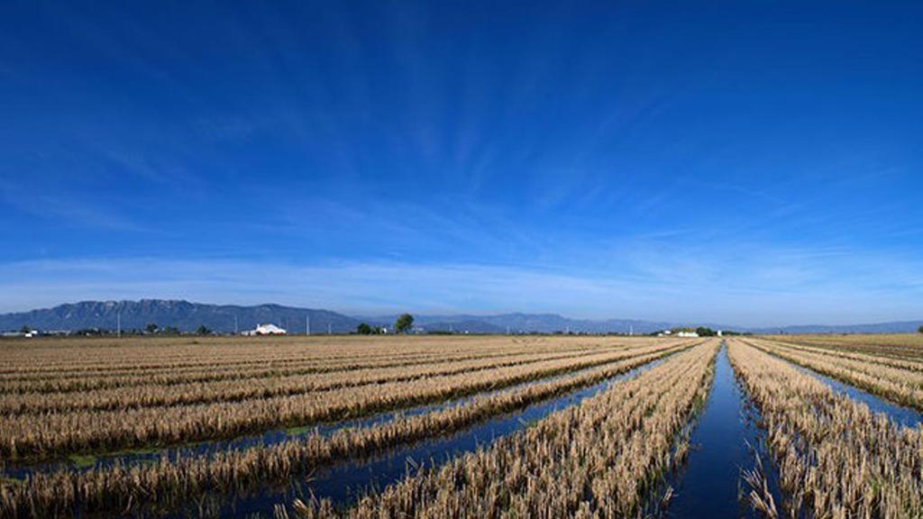 Mi Apartamento En El Delta Del Ebro Deltebre Esterno foto