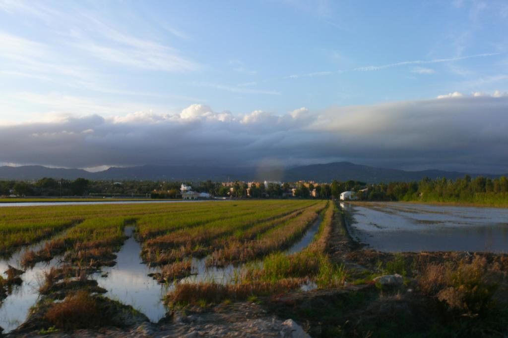 Mi Apartamento En El Delta Del Ebro Deltebre Esterno foto